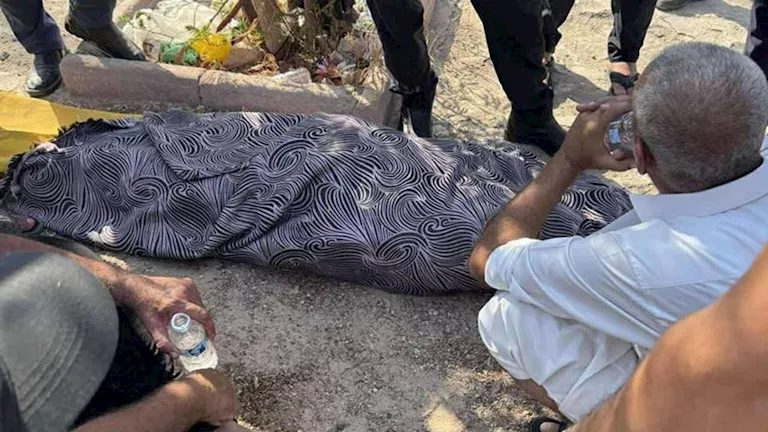مصرع شخص صدمه قطار بمزلقان سكة حديد طموه جنوب الجيزة