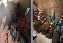 معسل بعلامة تجارية وهمية.. تفاصيل مداهمة مصنع غير مرخص في دمياط