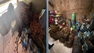 معسل بعلامة تجارية وهمية.. تفاصيل مداهمة مصنع غير مرخص في دمياط