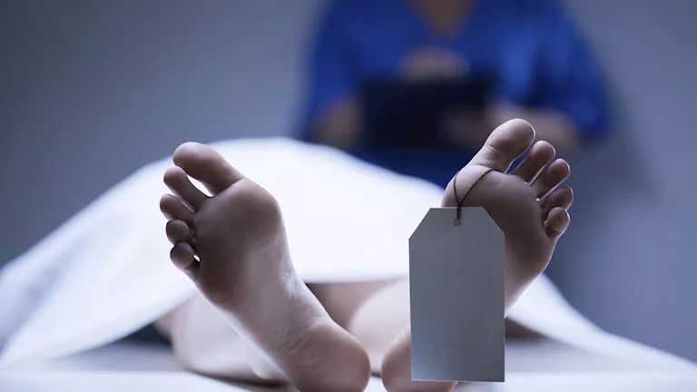 مقتل شاب بطعنة نافذة على يد شقيق زوجته في المنيا