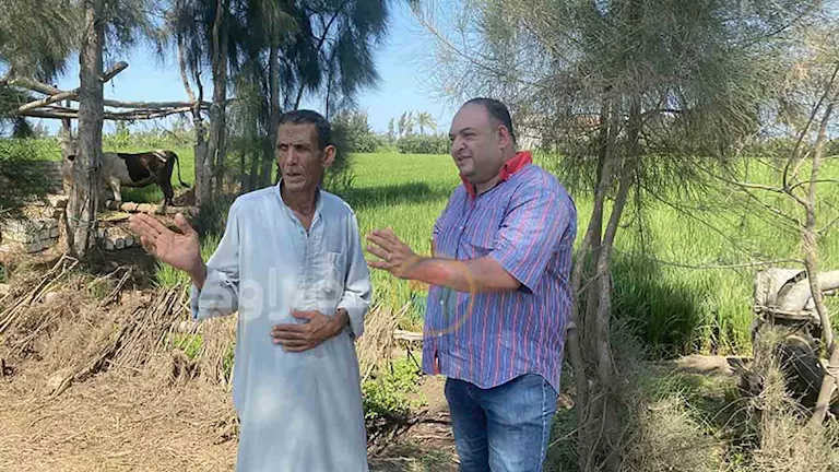 من أمّي إلى شاعر.. قصة عم دسوقي التي ألهمت أهالي كفر الشيخ (فيديو وصور
