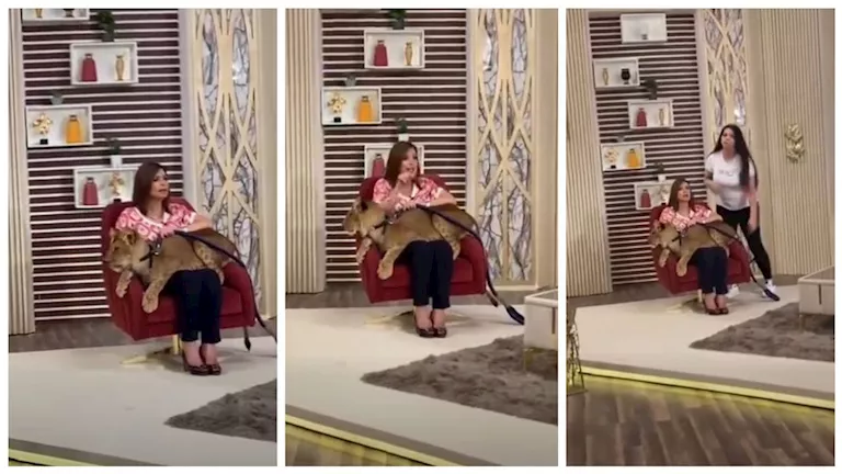 منال سلامة مع شبل في بلاتوه برنامجها "حلو الكلام"