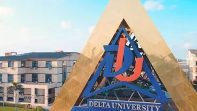 5 مصابين في حادث مركبتي توكتوك أمام جامعة الدلتا في الدقهلية