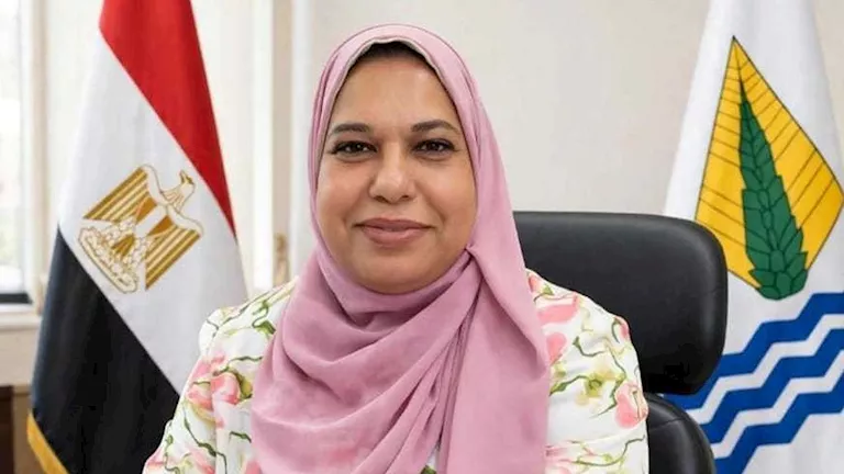 77 فصلًا جديدًا تعيد رسم خريطة التعليم بالوادي الجديد