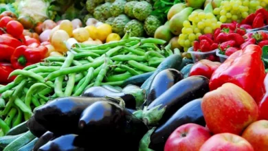 أسعار الخضروات في سوق العبور اليوم 18-9-2026.. 20 جنيها لكيلو الطماطم