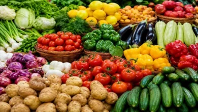 أسعار الخضروات والفاكهة في سوق العبور اليوم 21-9-2026