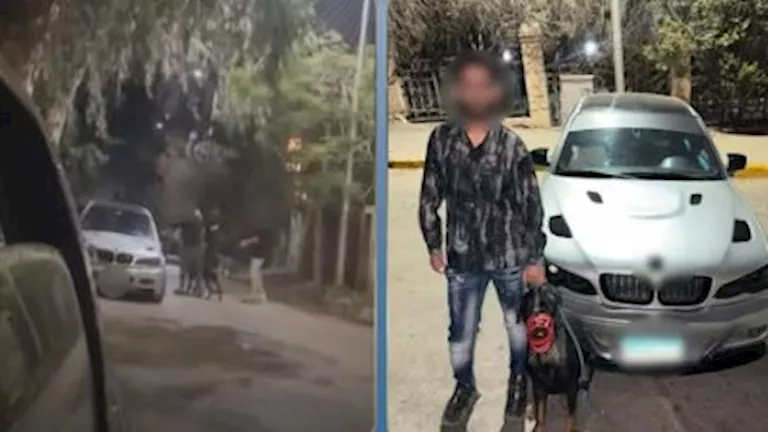 أمن الجيزة يكشف تفاصيل فيديو "السلاح والكلب" المثير للجدل