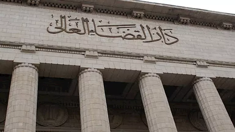 أولى جلسات استئناف المتهمة باختطاف "رضيعة مستشفى الحسين"