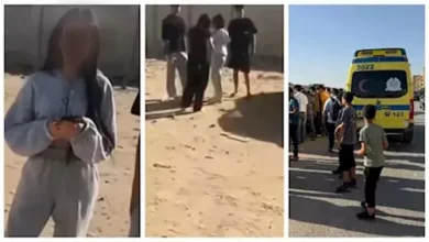 الجنح تقضي بحبس طفلي "حدائق الأهرام" في قضية "بائعة الشاي"