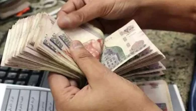 الخميس المقبل.. موعد صرف معاشات شهر أكتوبر