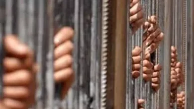 الداخلية تضبط 3 أشخاص بتهمة غسل 100 مليون جنيه