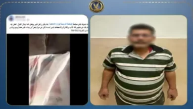 الداخلية تكشف حقيقة فيديو تحرش بفتاة داخل سيارة بالجيزة | ضي النهار الداخلية تكشف حقيقة فيديو تحرش بفتاة داخل سيارة بالجيزة