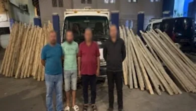 الداخلية تكشف ملابسات فيديو سرقة أخشاب مقاول بدمياط وتضبط الجناة | ضي النهار الداخلية تكشف ملابسات فيديو سرقة أخشاب مقاول بدمياط وتضبط الجناة