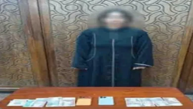 القبض على بلوجر تنشر فيديوهات منافية للآداب بالإسكندرية