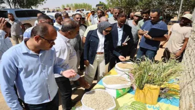 الوادي الجديد تتوسع في زراعة 1000 فدان بالمحاصيل التصديرية