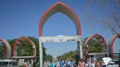 بالأسماء.. 7 أساتذة يتقدمون لمنصب عميد كلية الطب بجامعة أسوان
