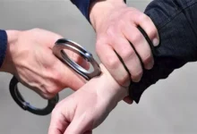 بحوزته 55 طربة حشيش وسلاح ناري.. ضبط جزار بكفر الشيخ