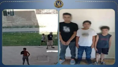 بعد مضايقتهم ابنتها.. ضبط 3 طلاب بتهمة التعدي على سيدة بأكتوبر