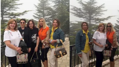 بوسي شلبي وإلهام شاهين وليلى علوي في لقاء مع ماجدة الرومي