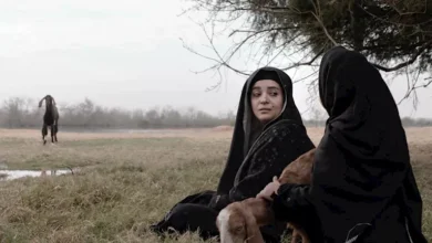 تعرف على مشاريع سينمائية مدعومة من المورد الثقافي الجونة السينمائي