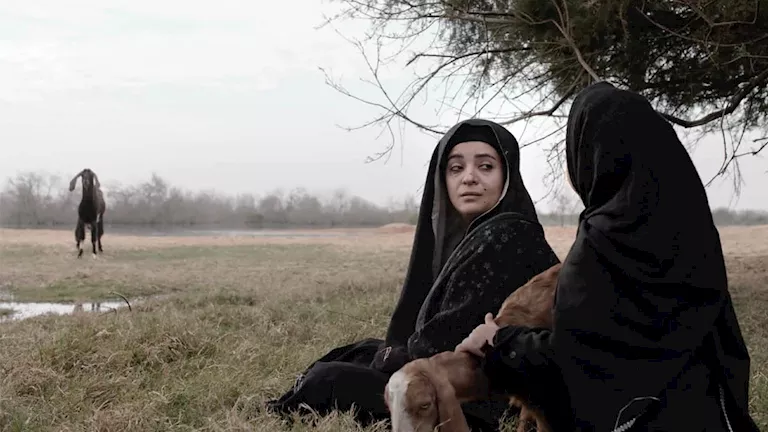 تعرف على مشاريع سينمائية مدعومة من المورد الثقافي الجونة السينمائي | ضي النهار تعرف على مشاريع سينمائية مدعومة من المورد الثقافي الجونة السينمائي