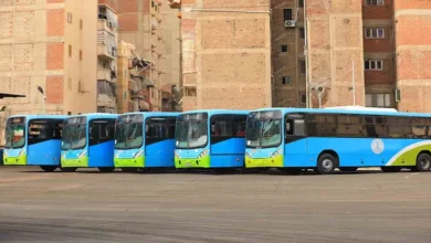 تفاصيل المرحلة الثالثة لتطوير أسطول النقل العام بالإسكندرية