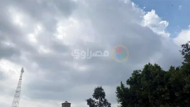 تقلبات الطقس.. تكاثر الغيوم في سماء كفر الشيخ | ضي النهار تقلبات الطقس.. تكاثر الغيوم في سماء كفر الشيخ