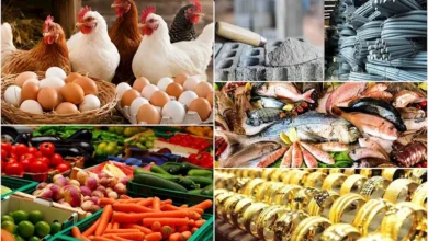 خريطة الأسعار اليوم: ارتفاع أسعار والأرز واللحوم الثلاثاء 22-9-2026