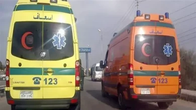 خلافات أسرية وميراث وماء نار.. 5 جرائم هزت المنيا خلال 4 أيام