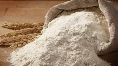 صناعة الحبوب: لدينا استعداد لتوفير الدقيق للمخابز السياحية