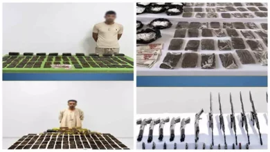 ضبط 350 ألف قرص مخدر و117 قطعة سلاح.. حصيلة ضربات أمنية للبؤر الإجرامي | ضي النهار ضبط 350 ألف قرص مخدر و117 قطعة سلاح.. حصيلة ضربات أمنية للبؤر الإجرامي