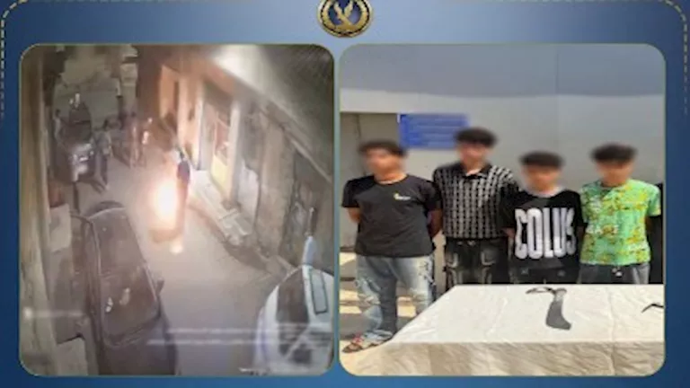 ضبط 4 أشخاص هددوا أسرة بالأسلحة وألقوا مولوتوف في البساتين | ضي النهار ضبط 4 أشخاص هددوا أسرة بالأسلحة وألقوا مولوتوف في البساتين