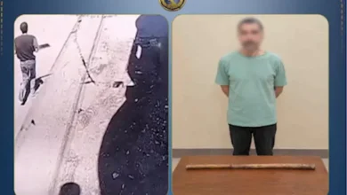 ضبط شخص اعتدى على سيدة وموظف بعصا خشبية في البحيرة