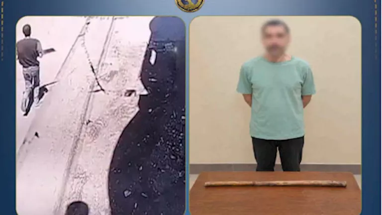 ضبط شخص اعتدى على سيدة وموظف بعصا خشبية في البحيرة