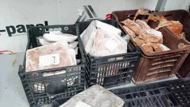 ضبط طن ونصف لحوم ودواجن فاسدة داخل مطعم بالإسكندرية