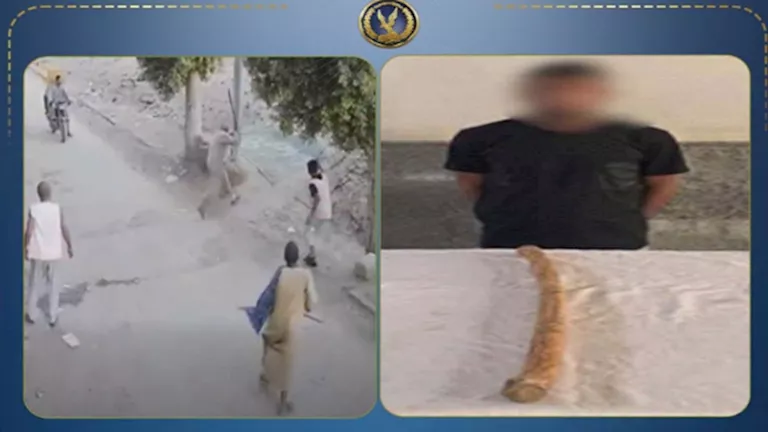 عامل يعتدي على جاره بعصا خشبية في أسيوط