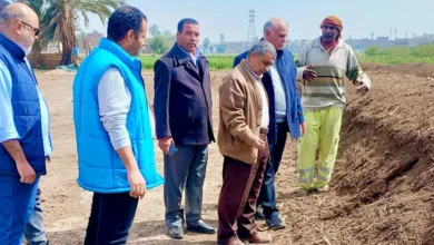 غرامات تصل إلى 50 ألف جنيه عقوبة حرق المخلفات الزراعية بأسيوط