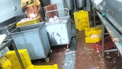 غلق 3 منشآت غذائية بجنوب سيناء لمخالفات ونقص الاشتراطات الصحية (صور)