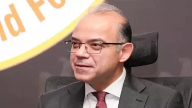فريد: تنوع القطاعات الاقتصادية وتوافر العمالة يمنحان مصر ميزة تنافسية