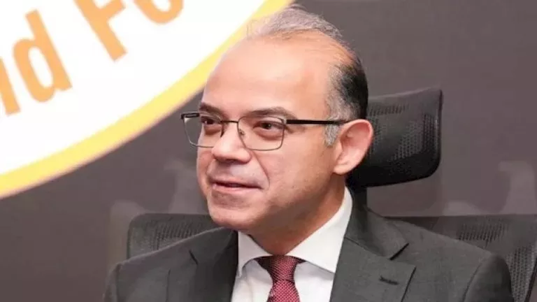 فريد: تنوع القطاعات الاقتصادية وتوافر العمالة يمنحان مصر ميزة تنافسية