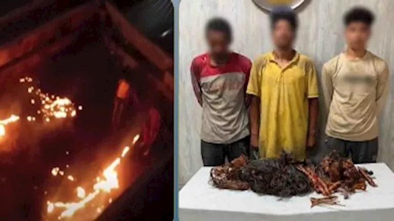 فيديو يكشف سرقة كابلات الإنارة وصهرها لاستخراج النحاس في الجيزة | ضي النهار فيديو يكشف سرقة كابلات الإنارة وصهرها لاستخراج النحاس في الجيزة