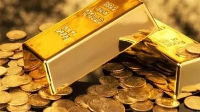 قبل اجتماع الفيدرالي.. إلى أين تتجه أسعار الذهب؟ | ضي النهار قبل اجتماع الفيدرالي.. إلى أين تتجه أسعار الذهب؟
