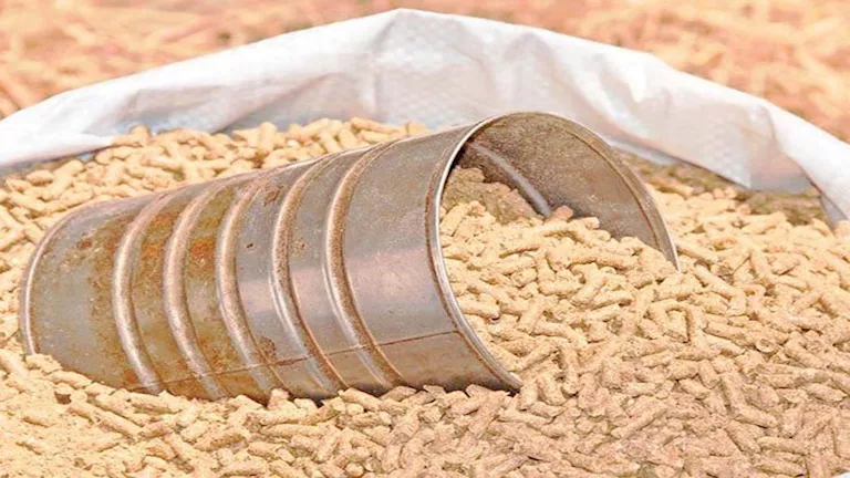 قفزة في أسعار الأعلاف.. وزيادة بنحو 5 آلاف جنيه للطن في سعر الذرة