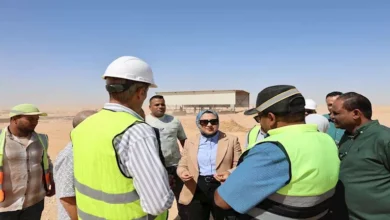 مشروع تأصيل الدواجن بالوادي الجديد يبدأ الإنشاءات بطاقة 150 ألف طائر