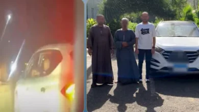 مطاردة بعصا خشبية.. ضبط 3 أشخاص لاحقوا مطربة شعبية في المنوفية