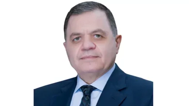 من ألمانيا إلى أمريكا وكندا.. 63 مصريًا يحصلون على جنسيات أجنبية