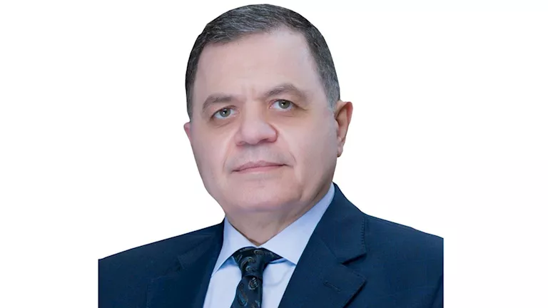 من ألمانيا إلى أمريكا وكندا.. 63 مصريًا يحصلون على جنسيات أجنبية