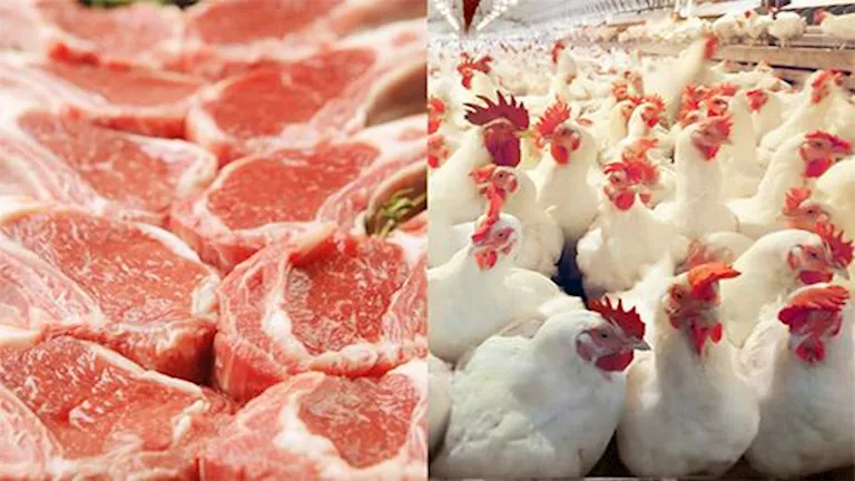 هل أزاح الدجاج اللحوم من على عرش استهلاك البروتين عالميًا؟