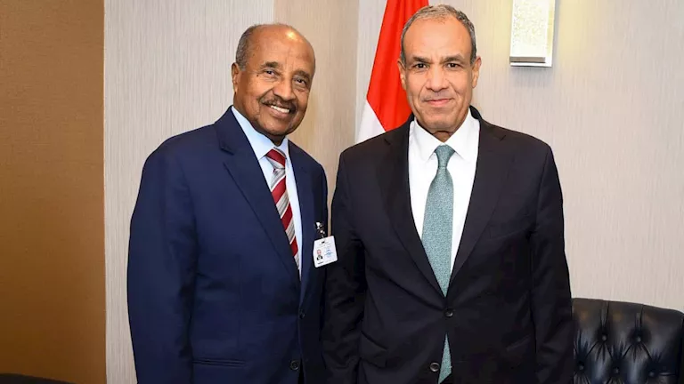 وزير الخارجية المصري ونظيره الإريتري يبحثان أمن البحر الأحمر وتطورات