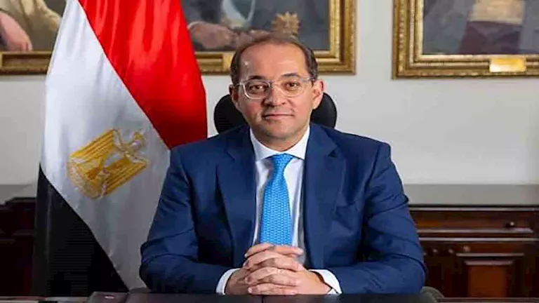 وزير المالية: 490 ألف إقرار ضريبي بأكثر من 830 ألف وحدة عقارية